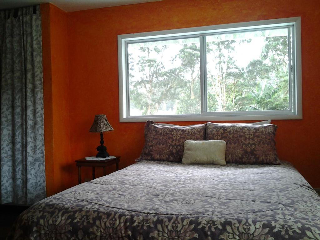 Lava Tree Tropic Inn Pahoa Phòng bức ảnh