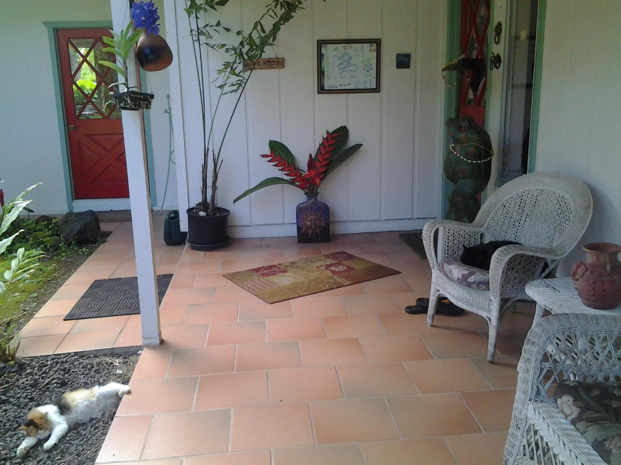 Lava Tree Tropic Inn Pahoa Ngoại thất bức ảnh